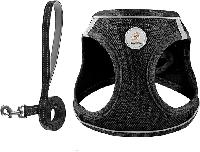 Hipubby Dog Harness and Leash Set